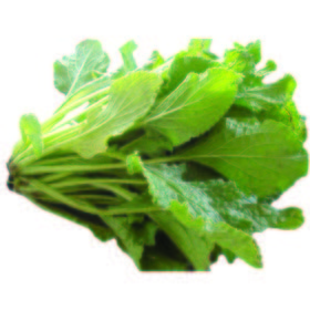 Borraja