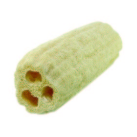 Calabaza de esponja