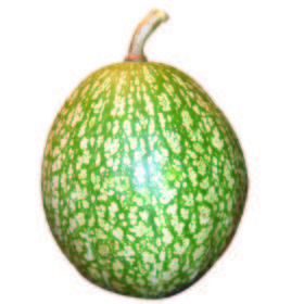 Calabaza Cabello de Angel