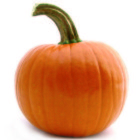 Calabaza de Guisar