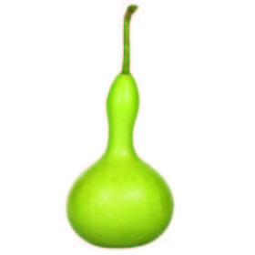 Calabaza del peregrino