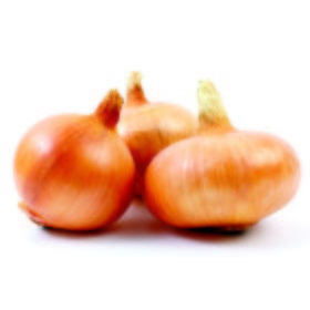 Cebolla de Figueres