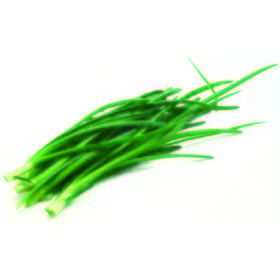 Cebollino