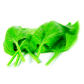 Espinaca