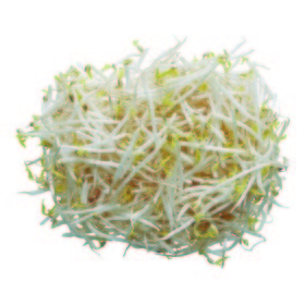Soja verde Mungo