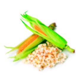 Maiz palomitas