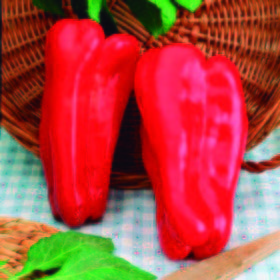 Pimiento Rojo de asar