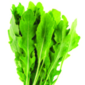 Rúcula