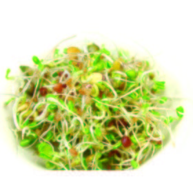 Mezcla para ensalada
