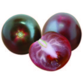 Tomate carbón