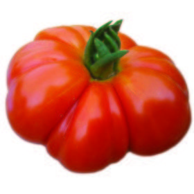 Tomate montañes