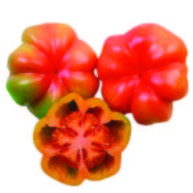 Tomate Montserrat