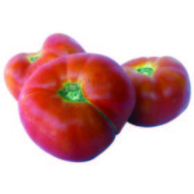 Tomate piel bella doncella "Egabrense"