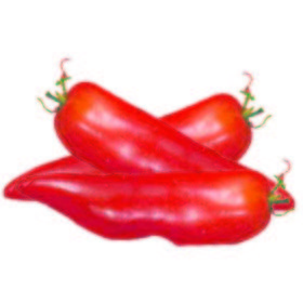 Tomate piquillo
