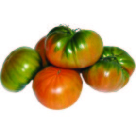 Tomate raf