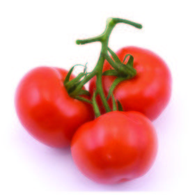 Tomate tres cantos