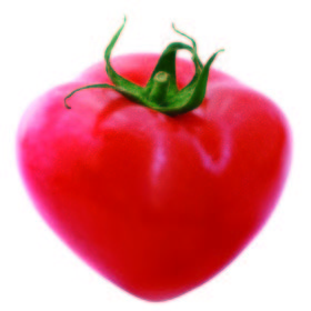 Tomate Corazón de Buey